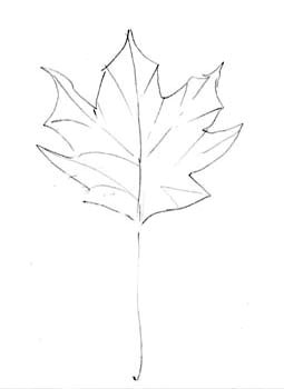 autumnleaf1.jpg