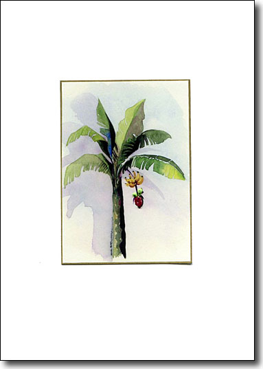 Banana Plant image