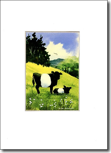 Belted Cows image