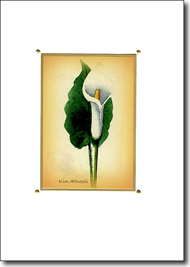 Calla Lily on Gold image