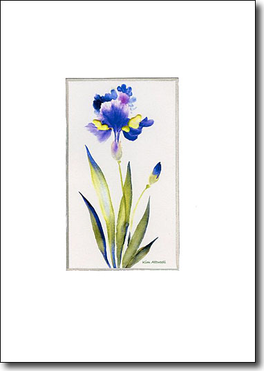 Chinese Iris image