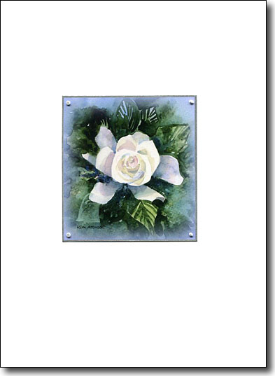 Gardenia on Blue image