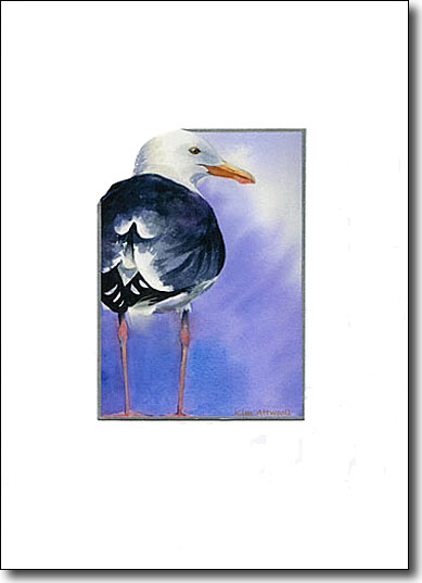 Gull image