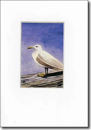 Gull on Dock image