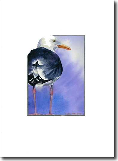 Gull image