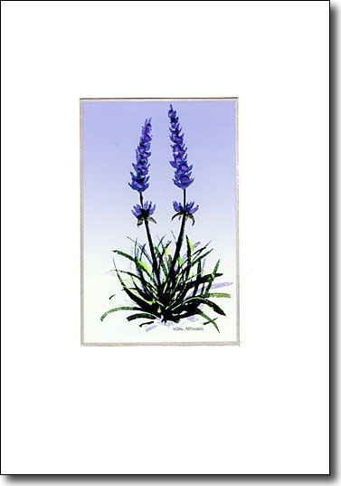 Lavender on Violet image