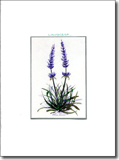 Lavender image