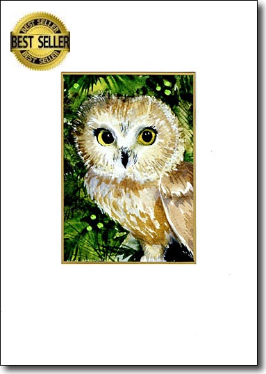 New Owl image