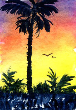 palmsunset4.jpg