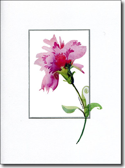 Pink Carnation image