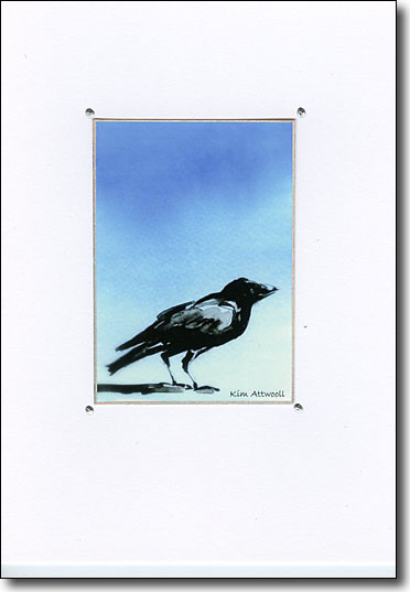 Raven on Blue image