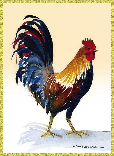 pictures of birds, rooster image