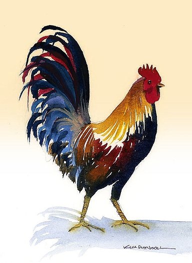 rooster image, print your own cards