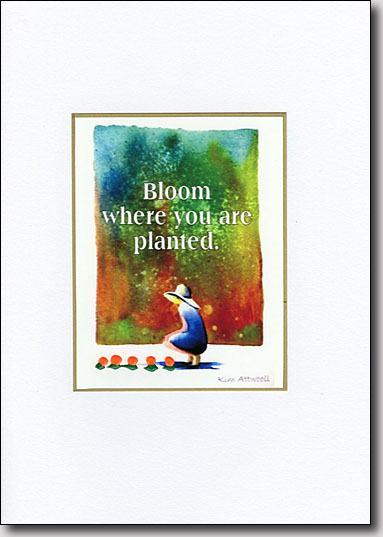 Bloom Where You Are Planted image