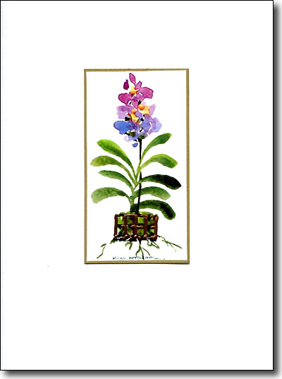 Vanda Orchid image