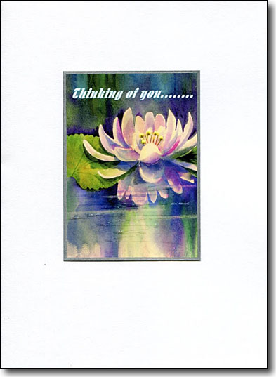 Waterlily 2 Thinking of You image