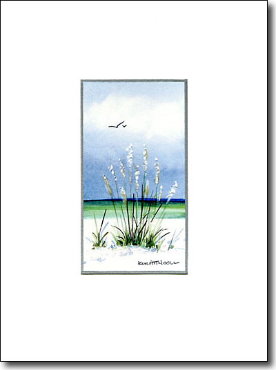 White Beach Grass image