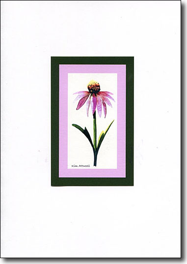 Wildflower Purple Cone Flower image