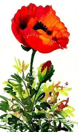 poppy, inkjet paper