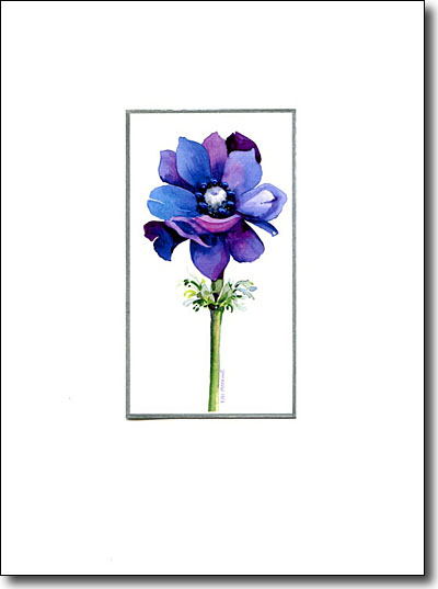 Anemone image