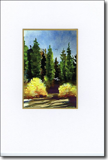 aspensandevergreenscard.jpg