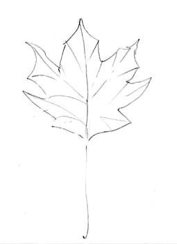 autumnleaf1.jpg