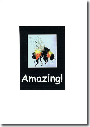 Bee Amazing