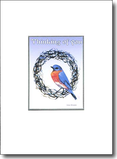 Bluebird Thinking of You image