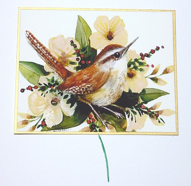 wren image