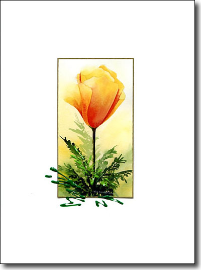 California Poppy image