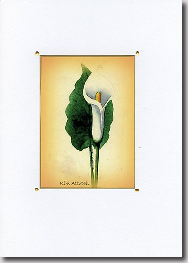 Calla on Gold image