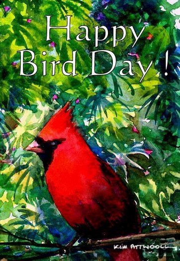 cardinal image, make greeting cards