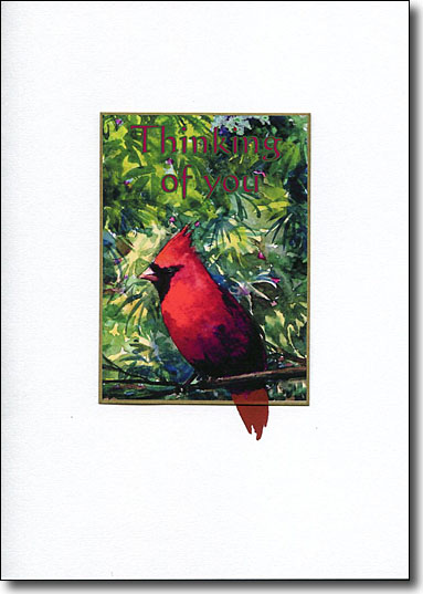 Cardinal Thinking of You image