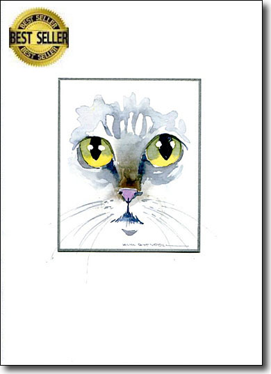 catseyesbscard.jpg