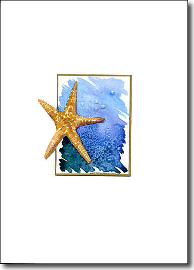 Cutout Starfish image