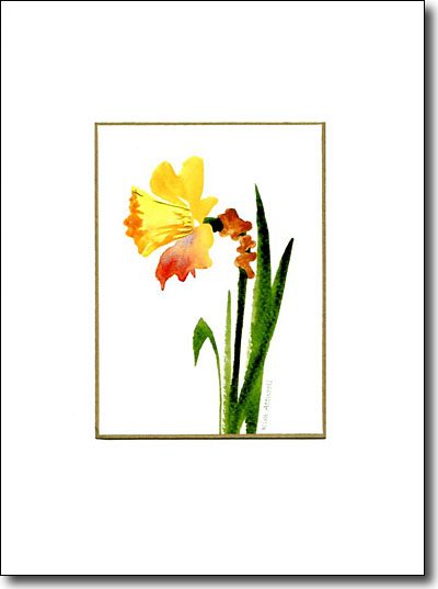 Daffodil image
