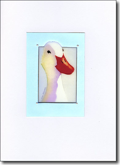 Duck in Blue