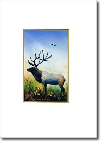 Elk