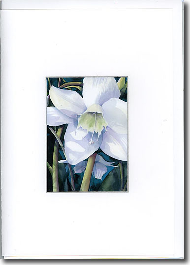 Eucharist Lily image