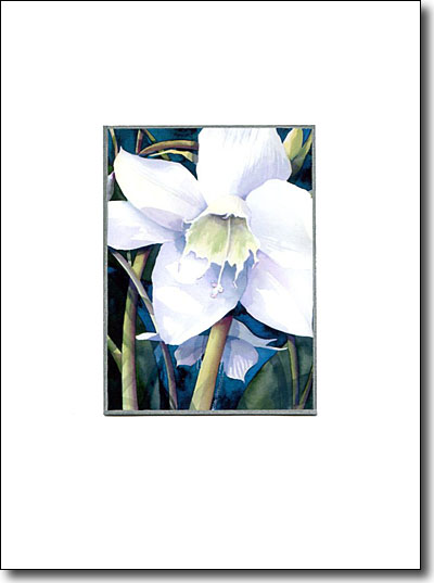 Eucharist Lily image