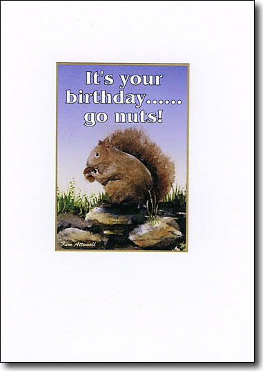 Grey Squirrel Go Nuts image