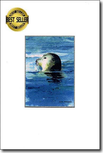 harborsealbscard.jpg