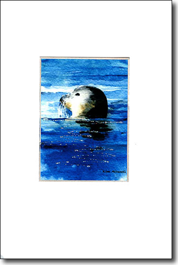 Harbor Seal image