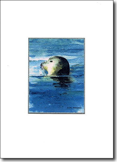 Harbor Seal image