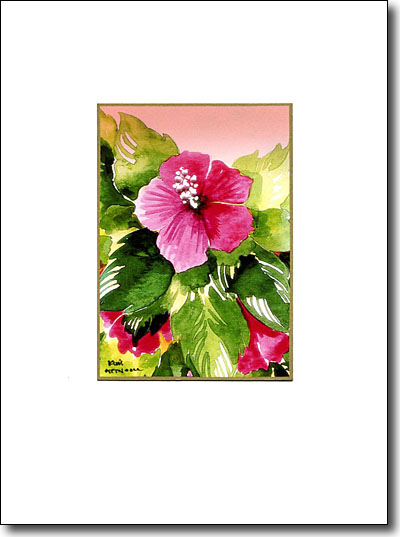 Hibiscus image