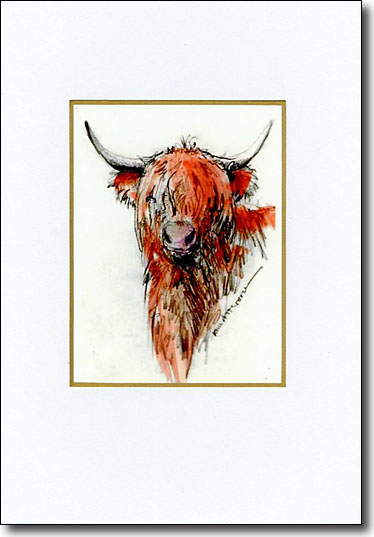 highlandcowcard