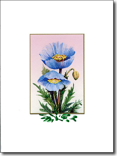 Himalayan Blue Poppy image