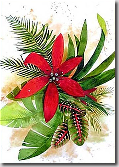 poinsettia