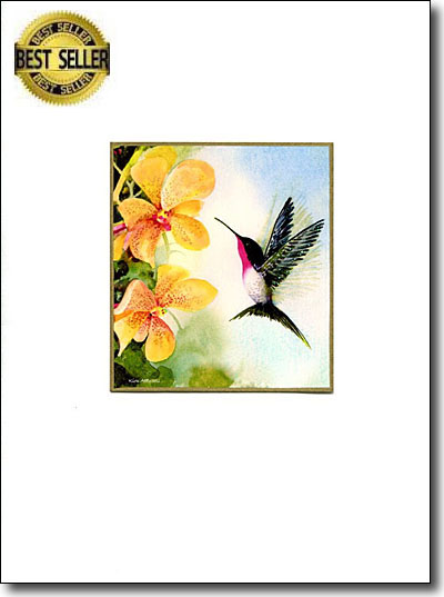 hummerandorchidsbscard.jpg