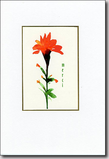 Indian Paintbrush Merci image